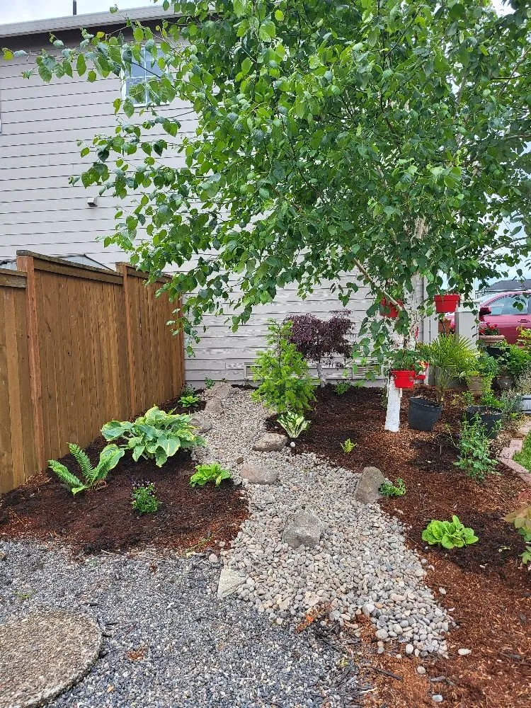 Custom yard cleanup service in Portland, OR by super house services