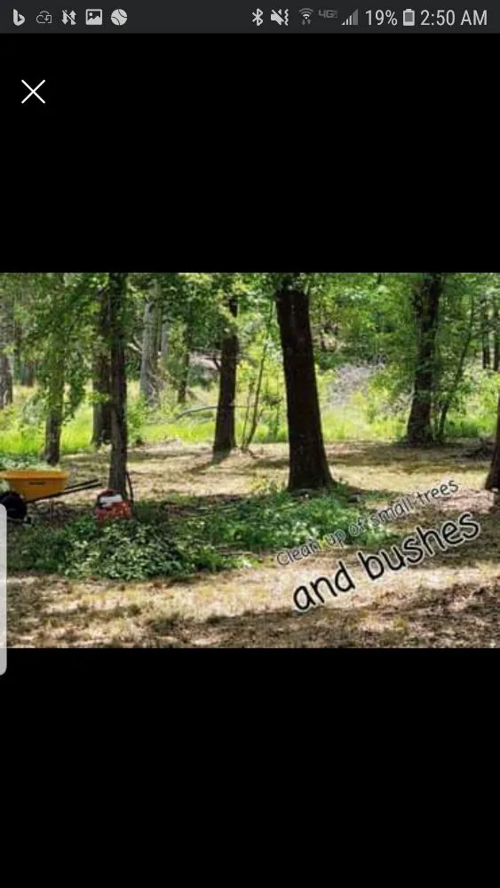 Affordable landscape design for year-round maintenance in Smiths Station, AL by Super Kutz