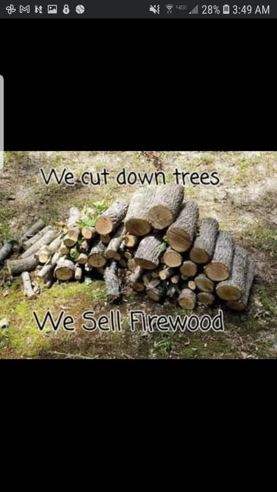 Affordable yard maintenance experts serving Smiths Station, AL - Super Kutz