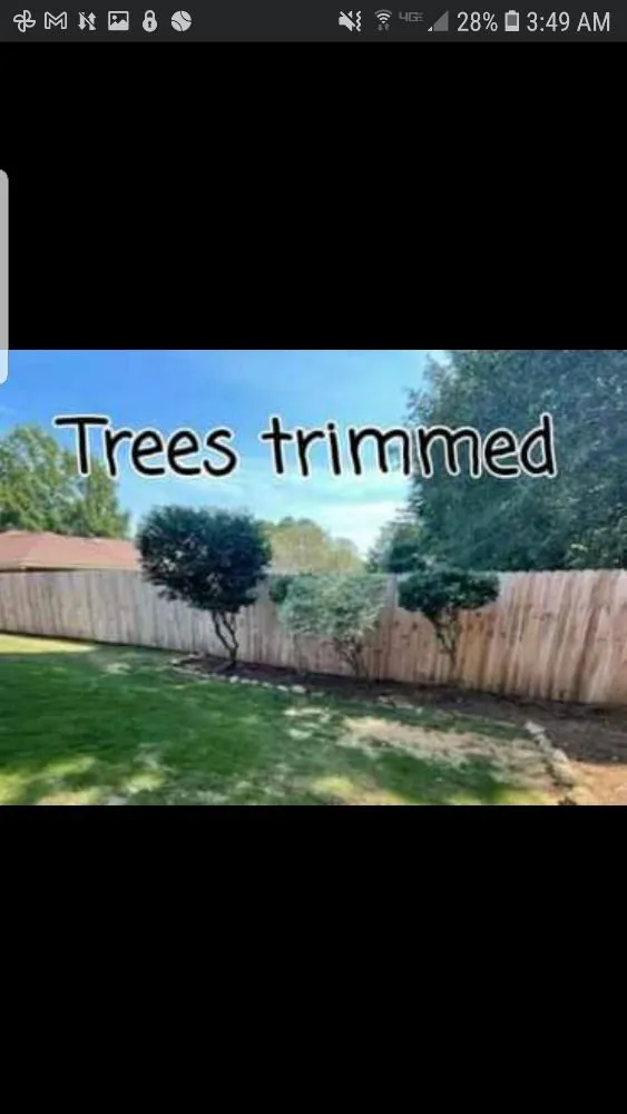 Local yard cleanup service in Smiths Station, AL by Super Kutz