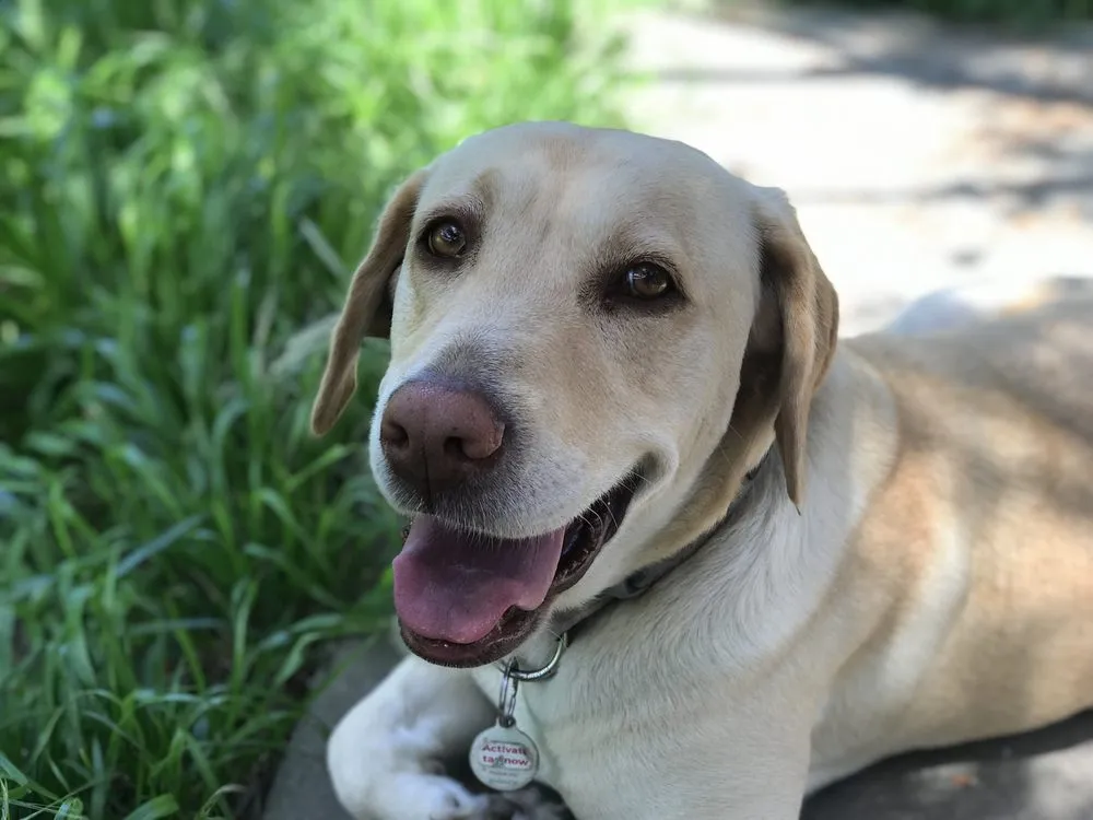 Top-rated landscape installation near you across San Diego, CA - Super Landscape