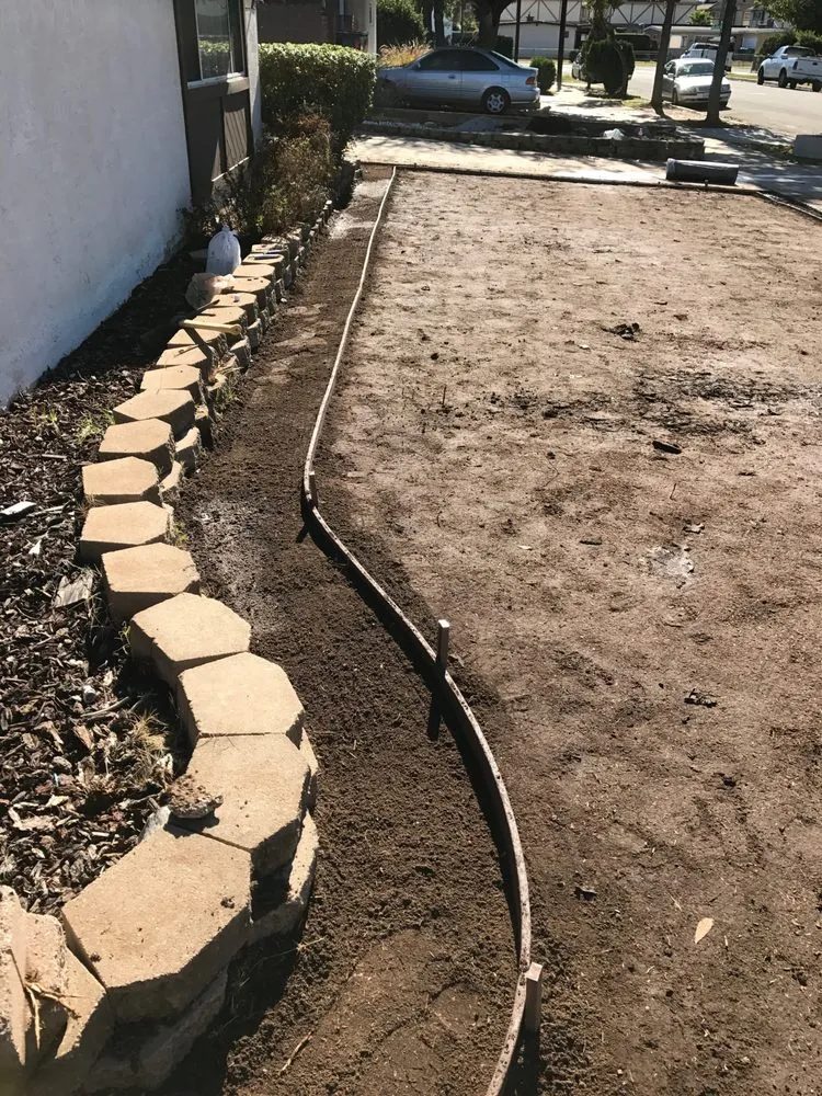 Trusted yard cleanup service experts serving San Diego, CA - Super Landscape