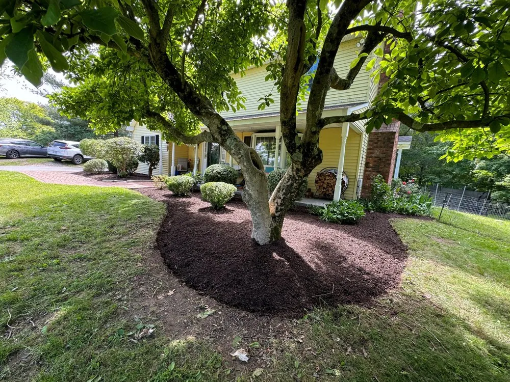 Trusted yard maintenance in Newburgh, NY - Super Landscaping