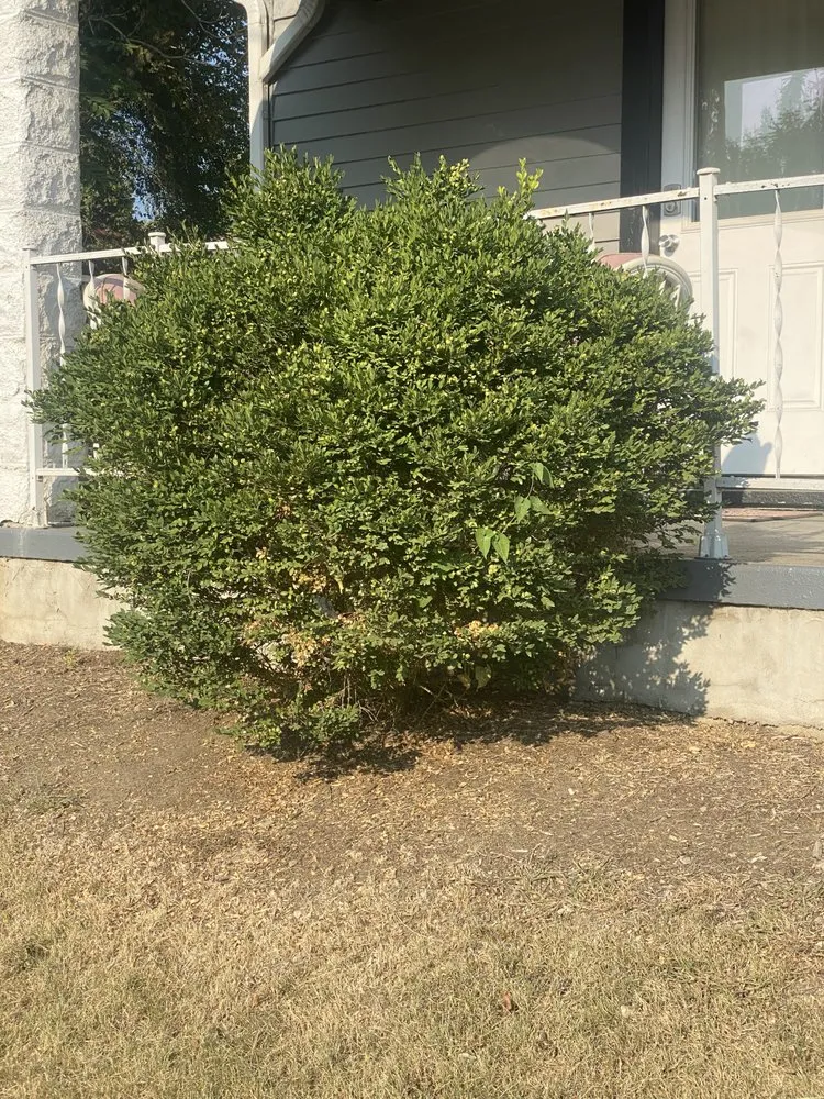 Top-rated lawn care service experts serving Frazeysburg, OH - Super Lawn Man