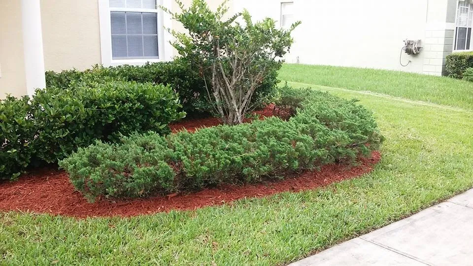 Local landscape design in Winter Garden, FL - Super Lawns 2.0