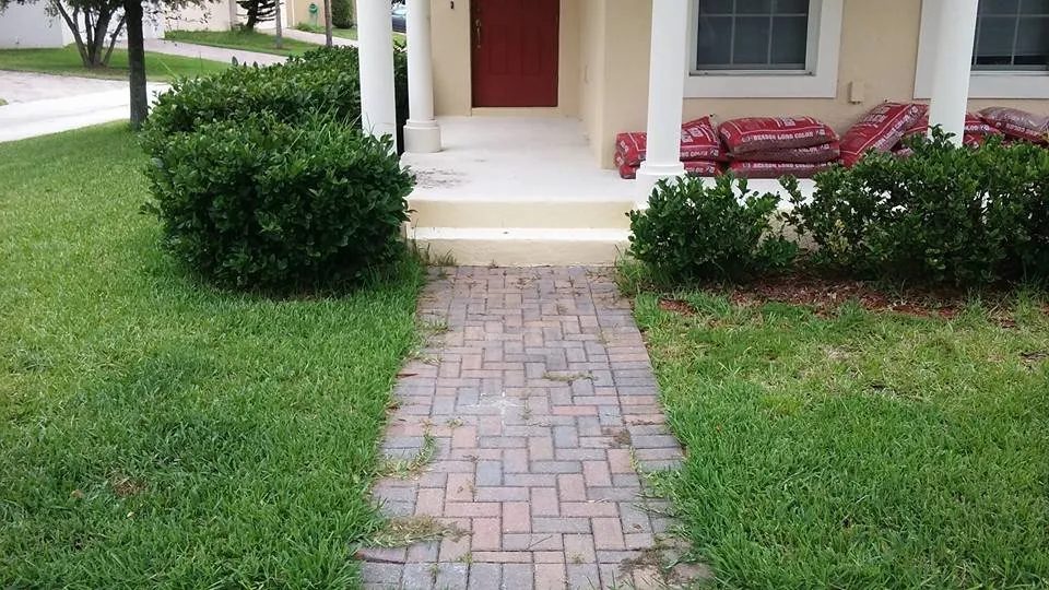 Custom landscape installation experts serving Winter Garden, FL - Super Lawns 2.0