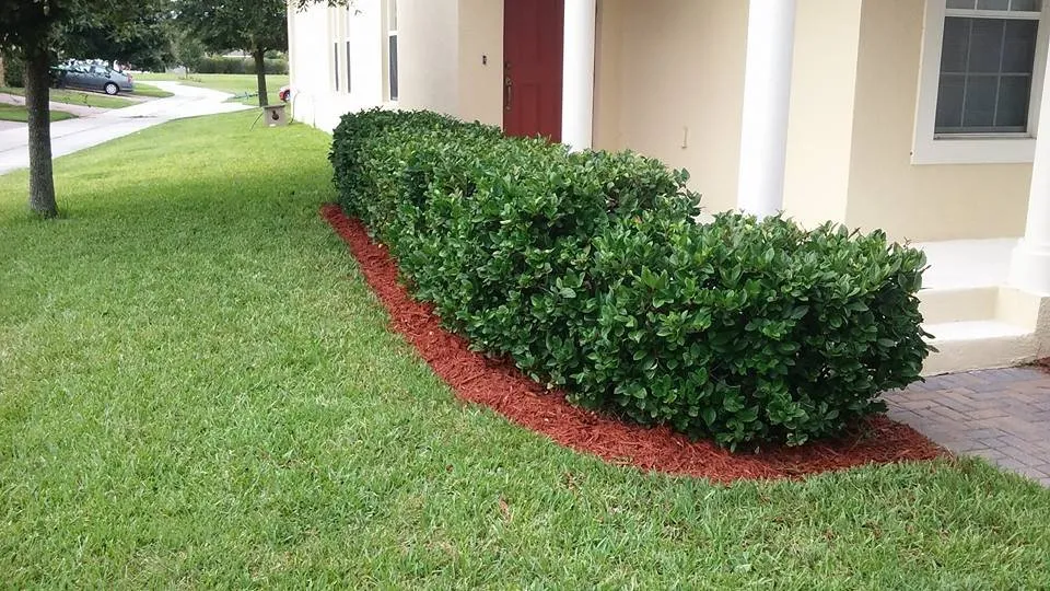 Trusted landscape design experts serving Winter Garden, FL - Super Lawns 2.0
