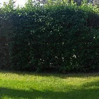 Professional lawn mowing service for homes in Winter Garden, FL by Super Lawns 2.0