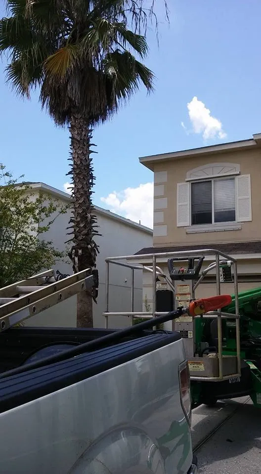 Expert landscape installation in Winter Garden, FL by Super Lawns 2.0