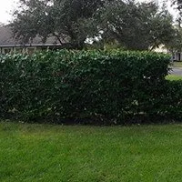 Professional landscape design in Winter Garden, FL by Super Lawns 2.0