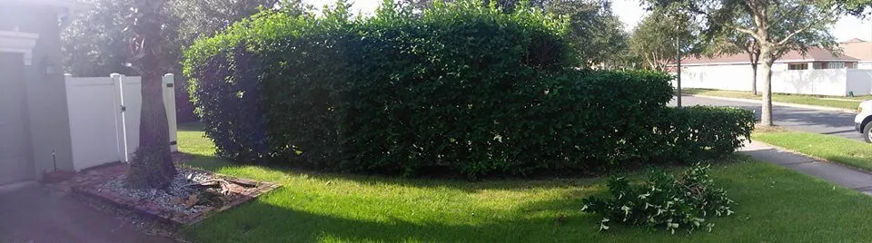 Expert lawn care service for homes in Winter Garden, FL by Super Lawns 2.0