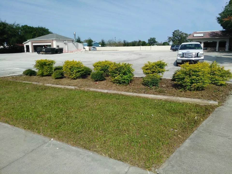 Top-rated yard cleanup service for outdoor upgrades across Winter Garden, FL - Super Lawns 2.0