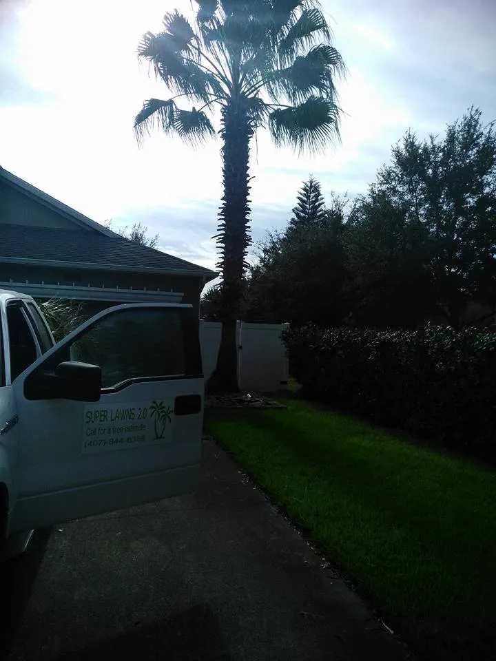 Affordable residential landscaping in Winter Garden, FL by Super Lawns 2.0