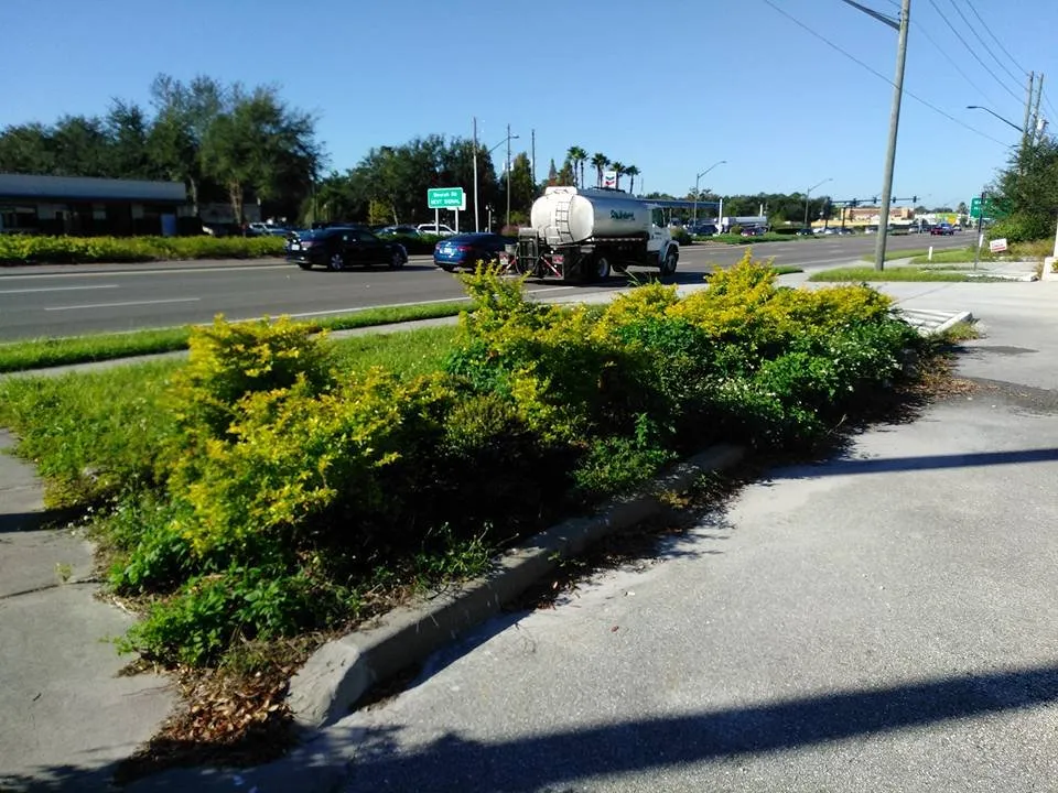 Top-rated outdoor landscaping experts serving Winter Garden, FL - Super Lawns 2.0