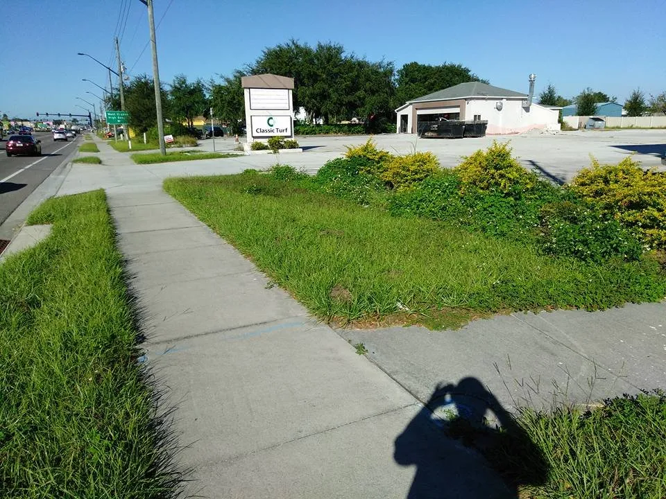 Custom landscaping services in Winter Garden, FL by Super Lawns 2.0