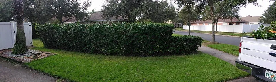 Professional lawn mowing service in Winter Garden, FL by Super Lawns 2.0