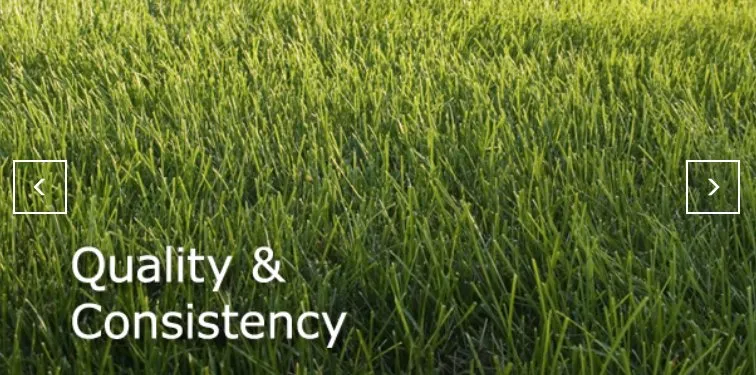 Local yard maintenance for residential properties in Centreville, VA by Super Lawns of Fairfax