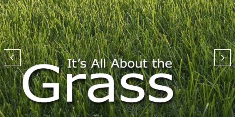 Reliable yard maintenance in Centreville, VA by Super Lawns of Fairfax