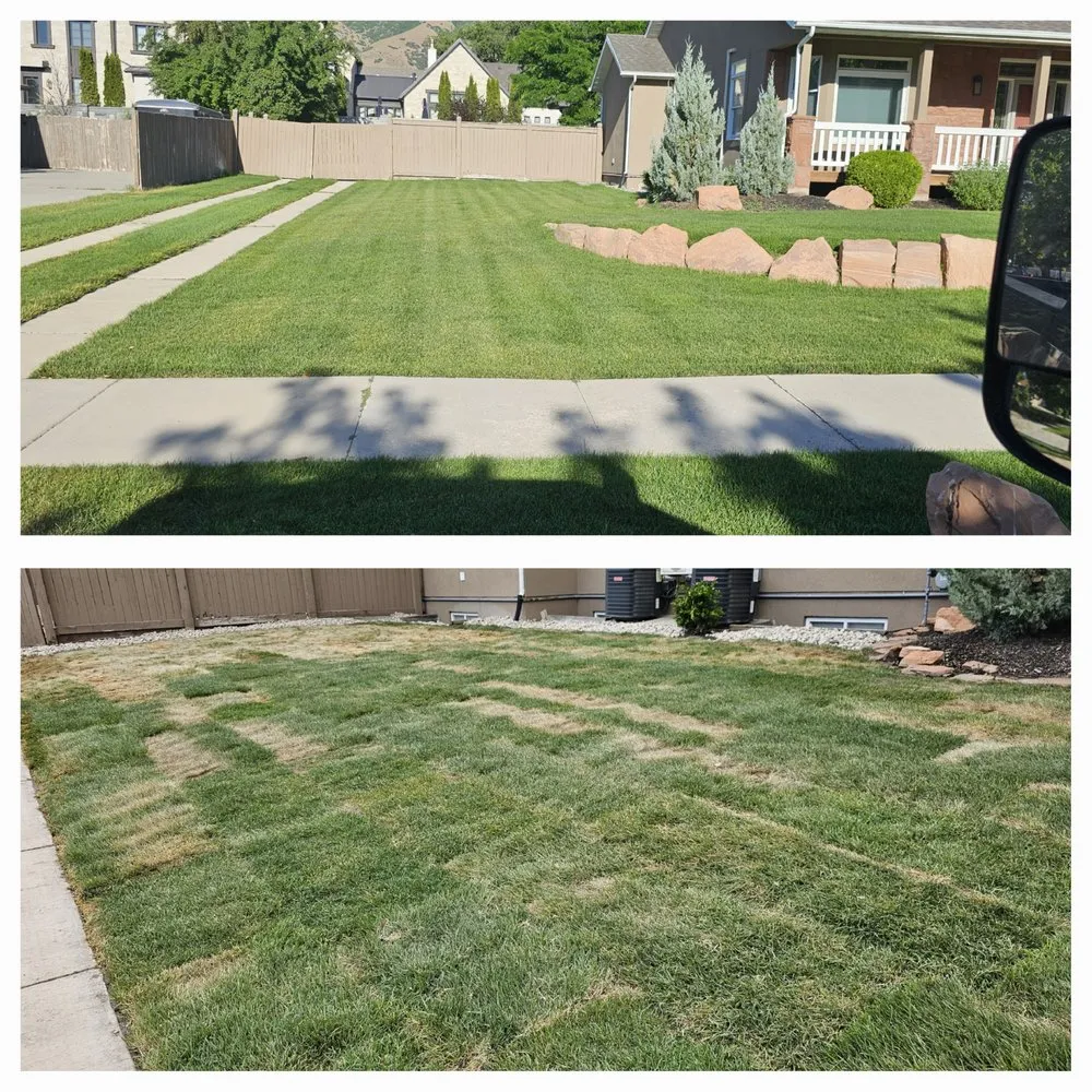 Top-rated landscape installation for beautiful yards across West Jordan, UT - Super Lopez