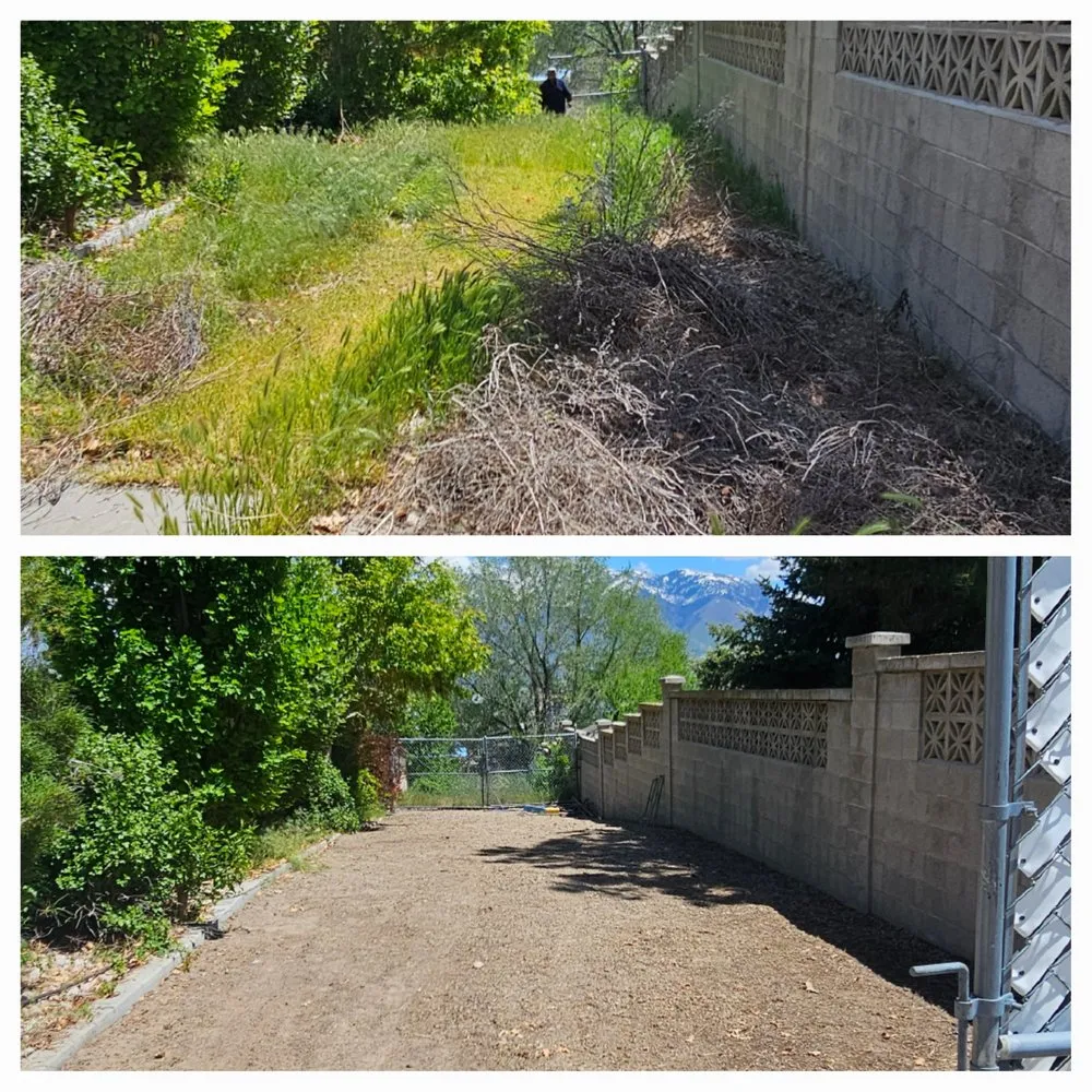 Local yard cleanup service in West Jordan, UT - Super Lopez