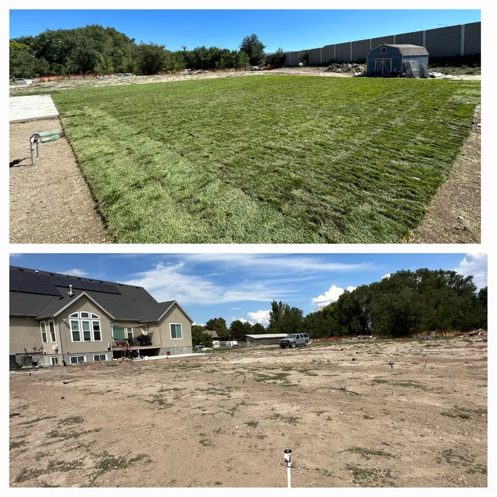 Top-rated yard cleanup service experts serving West Jordan, UT - Super Lopez