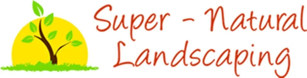 Expert residential landscaping for year-round maintenance in Myrtle Beach, SC by Super-Natural Landscaping