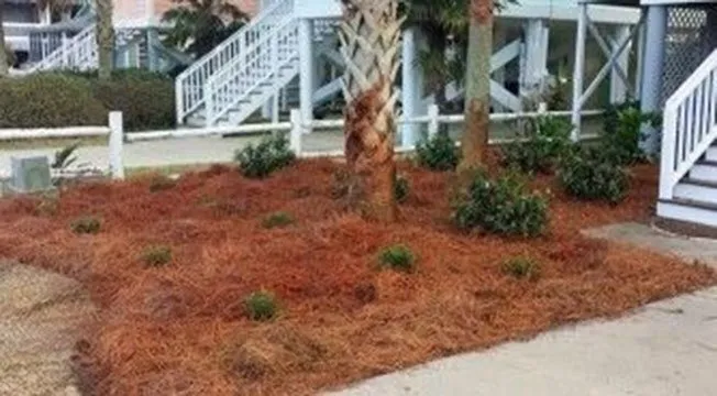 Expert lawn mowing service for residential properties across Myrtle Beach, SC - Super-Natural Landscaping