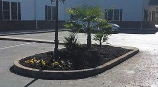 Affordable outdoor landscaping in Myrtle Beach, SC - Super-Natural Landscaping