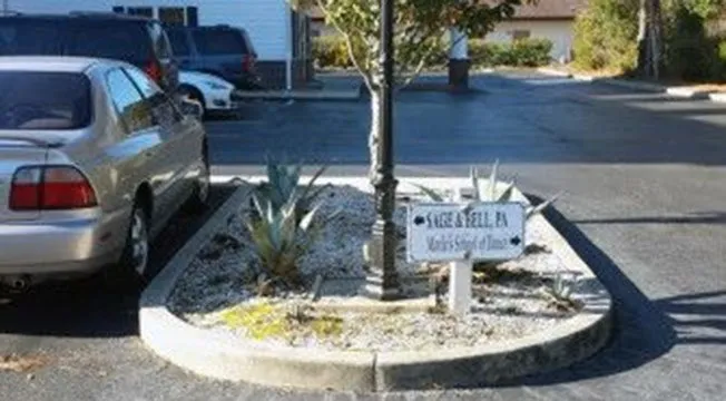 Trusted lawn mowing service experts serving Myrtle Beach, SC - Super-Natural Landscaping