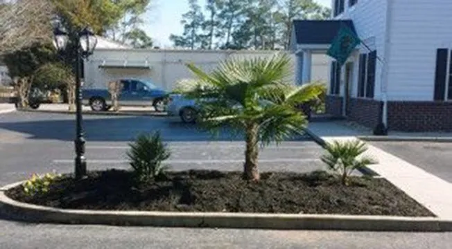 Affordable yard maintenance for beautiful yards in Myrtle Beach, SC by Super-Natural Landscaping