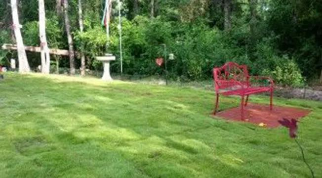 Affordable lawn mowing service near you across Myrtle Beach, SC - Super-Natural Landscaping