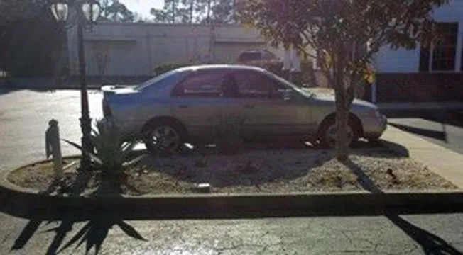 Expert landscaping services near you across Myrtle Beach, SC - Super-Natural Landscaping