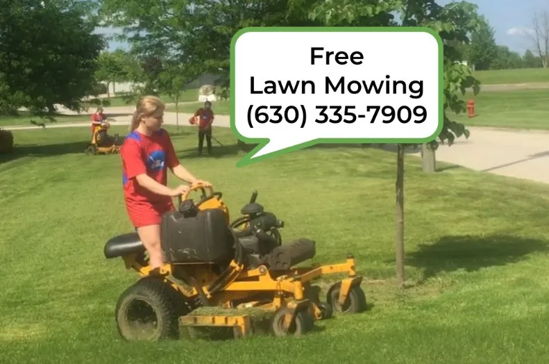 Trusted garden landscaping for beautiful yards across Darien, IL - Super Pro Landscapes