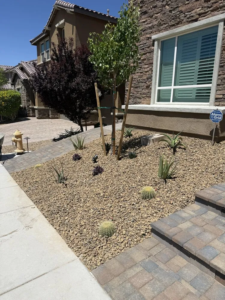 Affordable yard maintenance experts serving Las Vegas, NV - Super Saiyan Landscaping and Tree Service