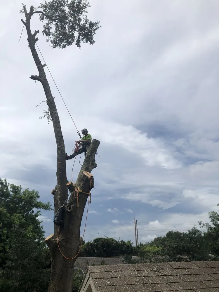 Affordable lawn care service for residential properties across Casselberry, FL - Super Scapes