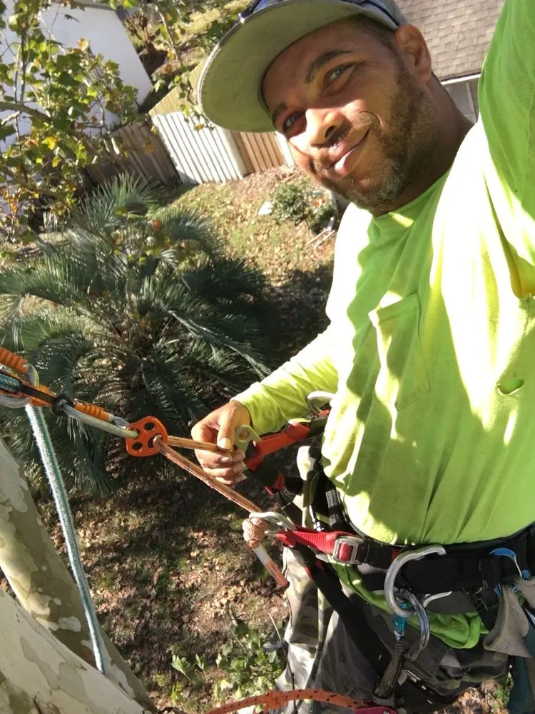 Top-rated lawn mowing service near you across Casselberry, FL - Super Scapes