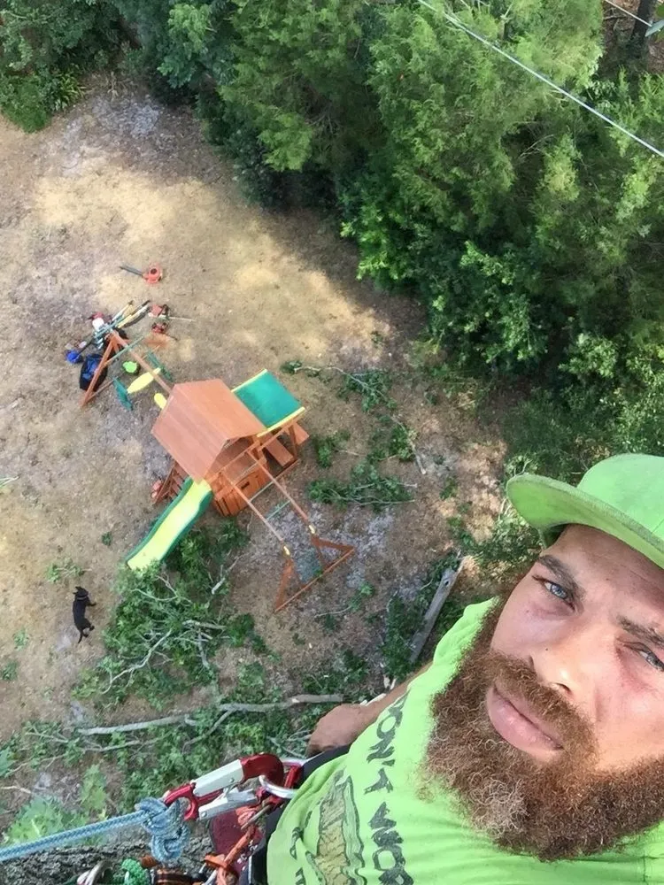 Expert landscape installation for year-round maintenance across Casselberry, FL - Super Scapes