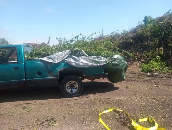 Trusted yard maintenance for homes in Toledo, OH by Super Scapes