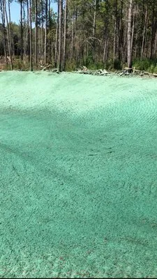 Super Seed Hydroseeding Logo