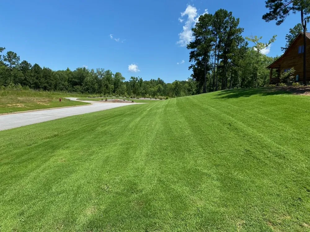 Professional yard maintenance experts serving Starr, SC - Super Seed Hydroseeding
