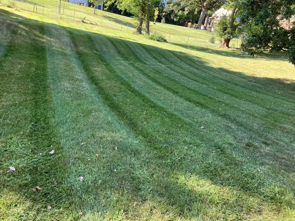 Expert yard maintenance in Des Moines, IA - Super Short Mowing