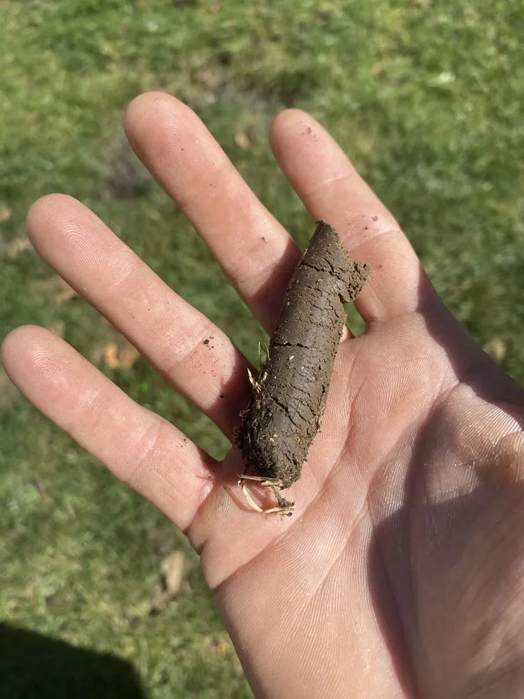 Top-rated yard maintenance in Des Moines, IA by Super Short Mowing