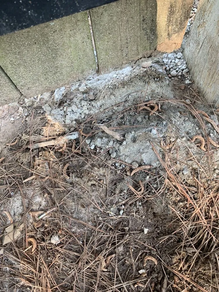 Custom landscape installation in Warner Robins, GA - Super Star Lawn Care & Fencing