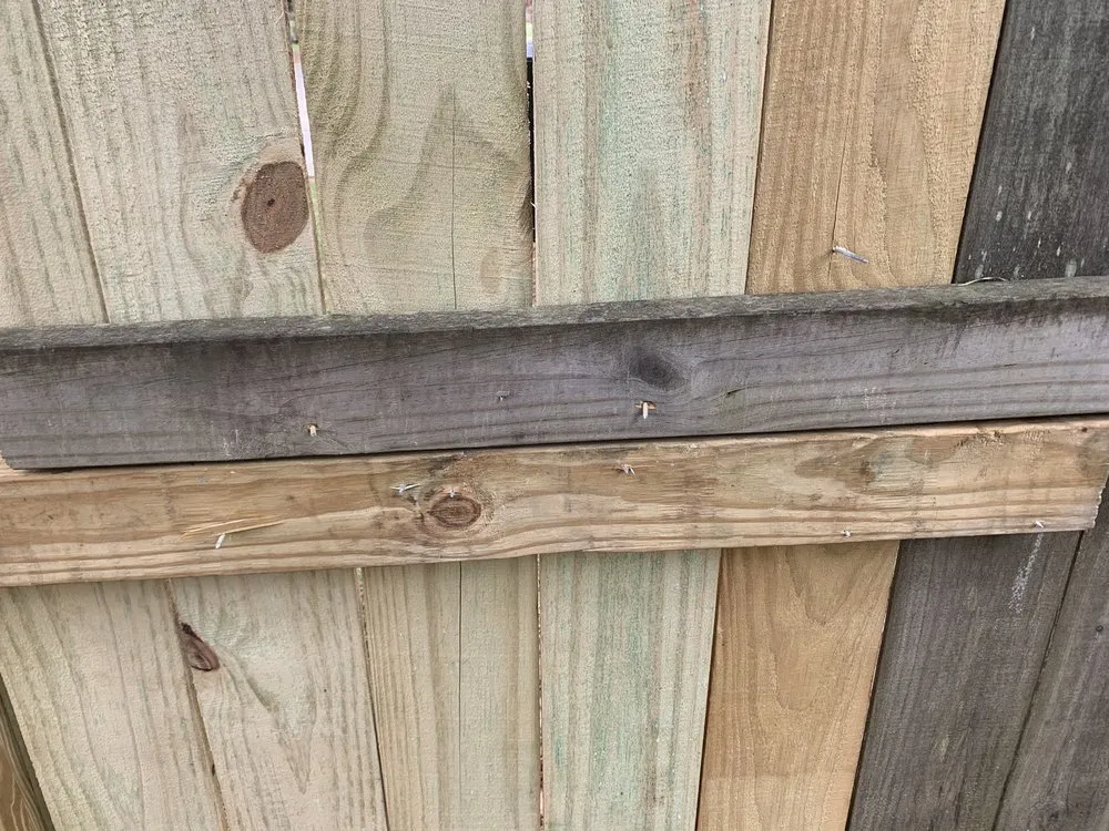 Affordable lawn mowing service for homes in Warner Robins, GA by Super Star Lawn Care & Fencing