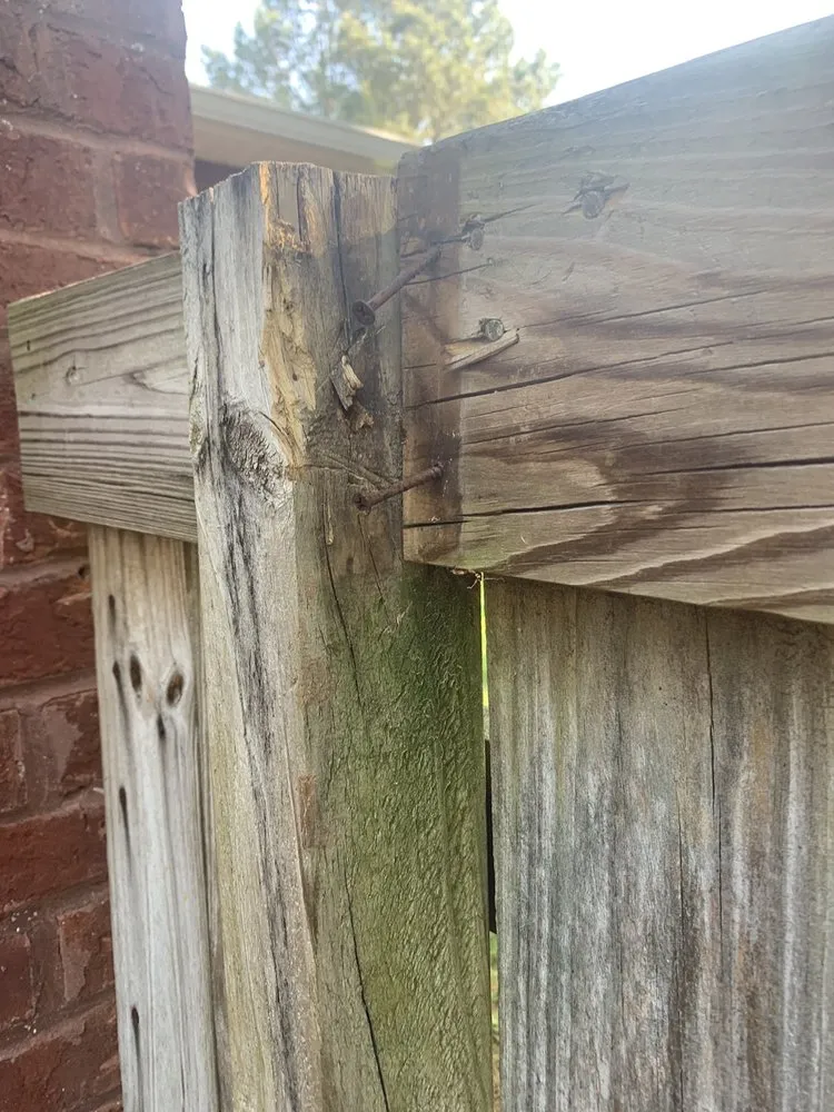 Custom garden landscaping in Warner Robins, GA by Super Star Lawn Care & Fencing