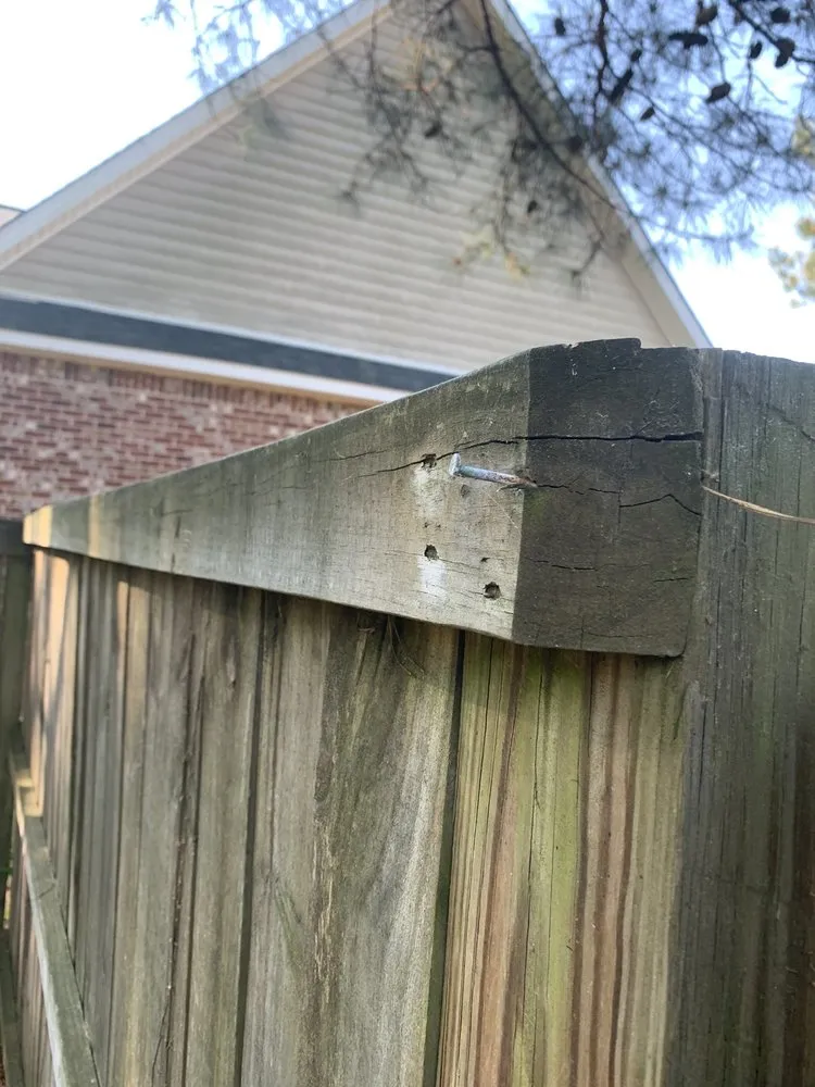 Trusted residential landscaping in Warner Robins, GA - Super Star Lawn Care & Fencing