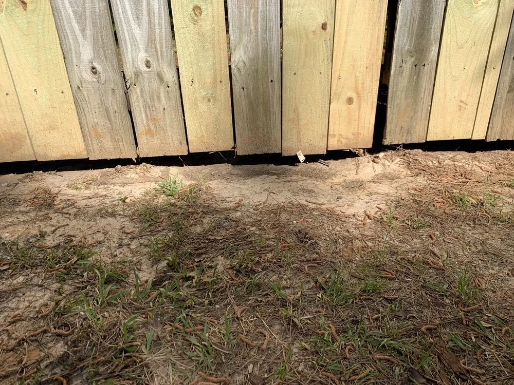 Professional landscape design for year-round maintenance in Warner Robins, GA by Super Star Lawn Care & Fencing