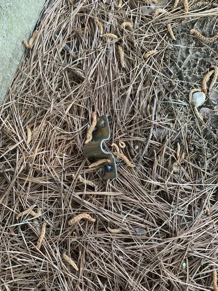 Trusted yard maintenance in Warner Robins, GA by Super Star Lawn Care & Fencing