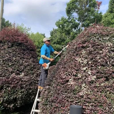 Super Surge Lawn Care And Landscaping Logo