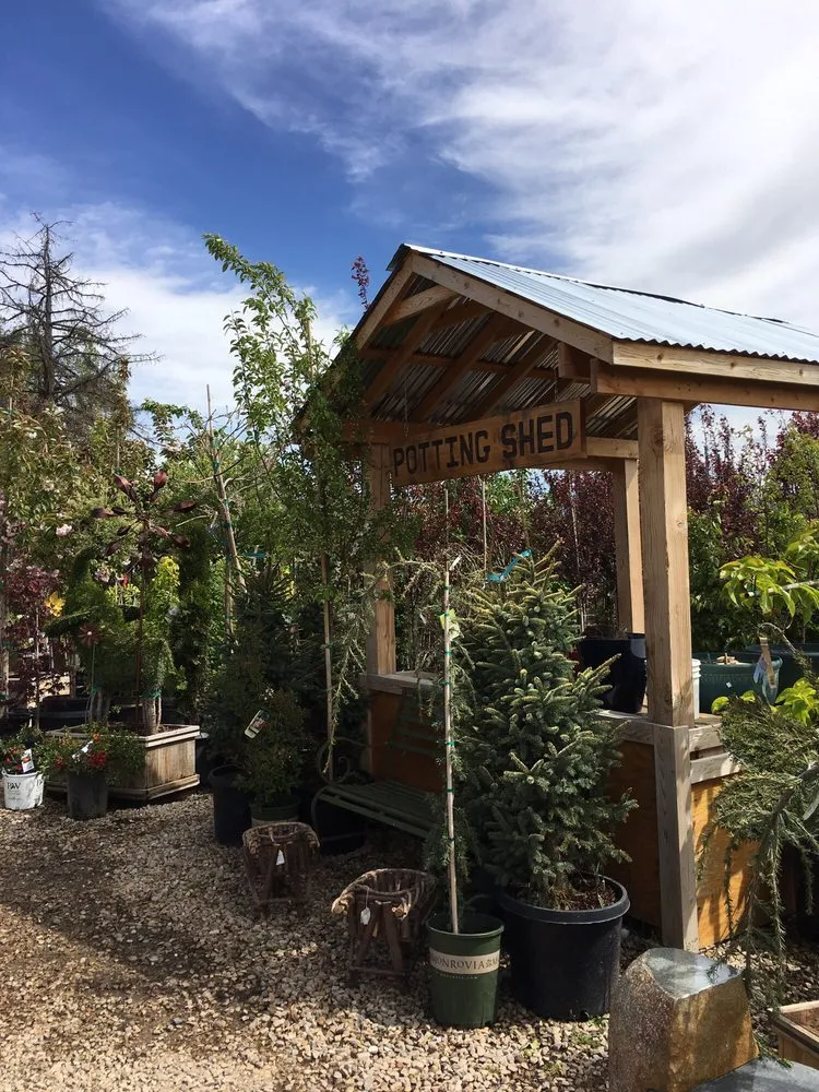 Professional landscape design experts serving Riverton, UT - Super Trees Riverton Nursery